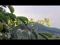 산골의가을(10월풍경), 잊혀진계절 피아노연주