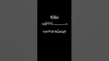 سورة الفتح _ آية (٤) _ القارئ ماهر المعيقلي #القرآن_الكريم #ماهر_المعيقلي #راحة_نفسية #سورة_الفتح