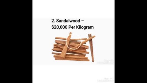 Top 10 Most Expensive Woods in the World.