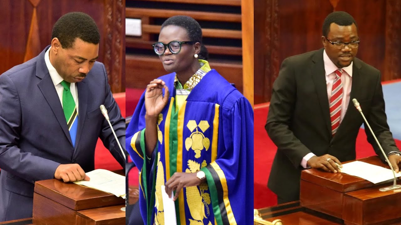 Spika Aifuta Kauli ya Mwigulu Nchemba I Uganga wa Kienyeji Yawaumiza Wabunge I Mpina, Katani Watajwa