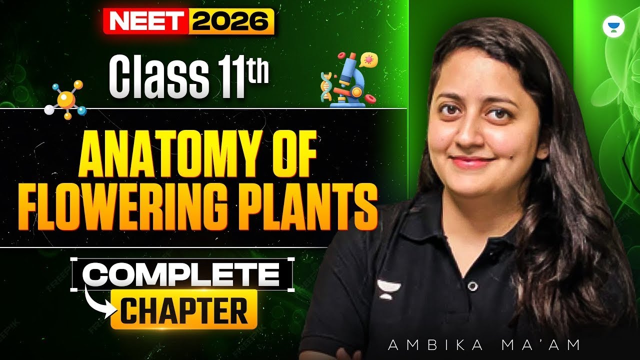 Anatomy of Flowering Plants -2 | Class 11th | NEET 2026 | Ambika Mam
