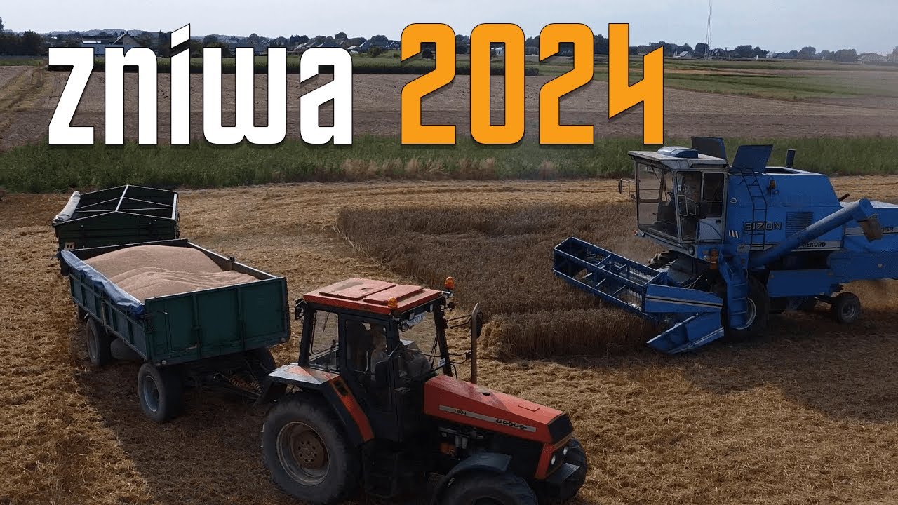 Polskie żniwa 2024★Pszenica★Bizon Rekord Z058★Ursus★Podkarpacie