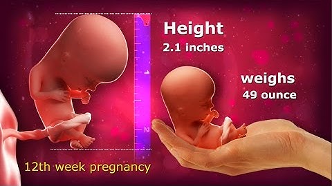 12 Weeks Pregnant: This Video Has Been Updated