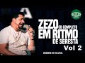 Zezo Potiguar - Antigas Vol 2 ( Gema Produções )