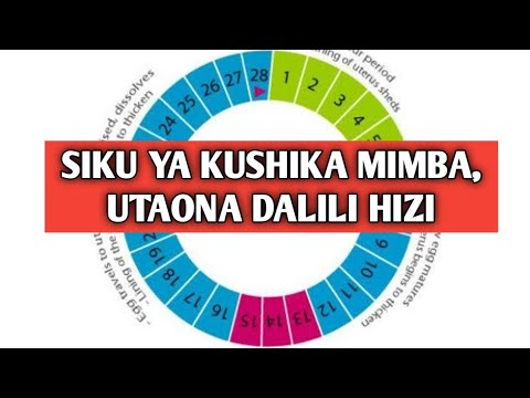 Video: Siku ya kushukuru kwa mjengo 2021 ni lini?