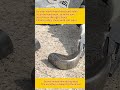 Safety shoe quality testing.2019.#safetyshoes #workshoes #shoes#workboots
