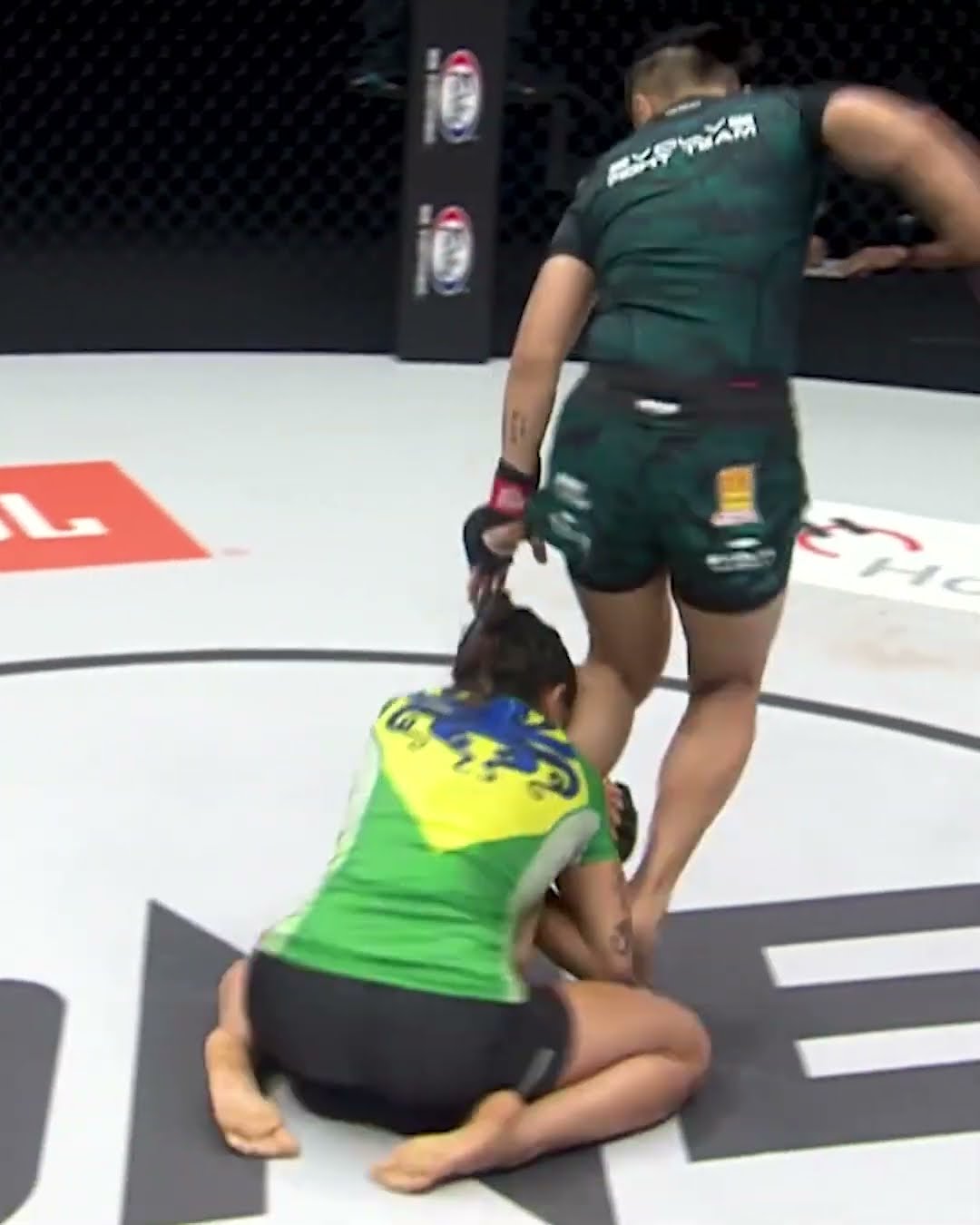 How to stop a 13-time BJJ World Champion ?