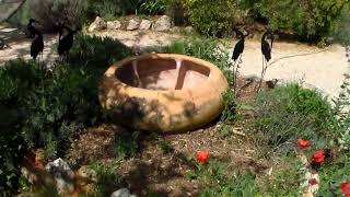 Vente du mas des romarins ,en pleine nature au calme dans une pinède. HDV 0039