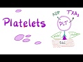 Platelets (Thrombocytes) | The Cell Pieces That Lack Nucleus