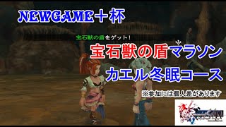 ロマンシングサガミンストレルソングリマスター【NEWGAME+】で宝石獣の盾を（ジュエルビースト睡眠状態）1週約30分で集めるマラソンほぼノーカット