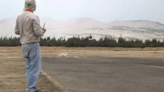 Mb - 339A By Rocco Leo