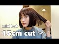 hair cut ✂︎ / 15センチカット / ミニボブ👩🏻