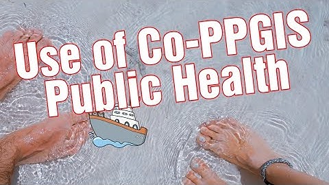 Co-PPGIS in Public Health: Empowering Communities for Effective Decision-making