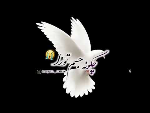 اهنگ حسین عامری به نام حرم قحطی آب است13
