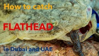 Jighead TV: Flathead fishing with soft plastics. Dubai Fishing Secrets screenshot 2