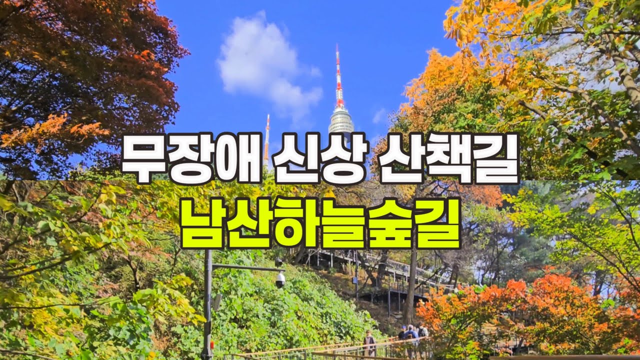 4K) 무장애 신상산책길 남산하늘숲길/가을단풍명소🍁/남산공원에서 남산하늘숲길까지/NAMSAN