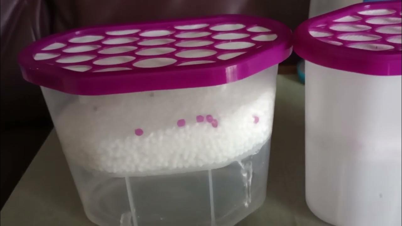 Recycling. Part Two. Disposable dehumidifier, salt experiment. The
