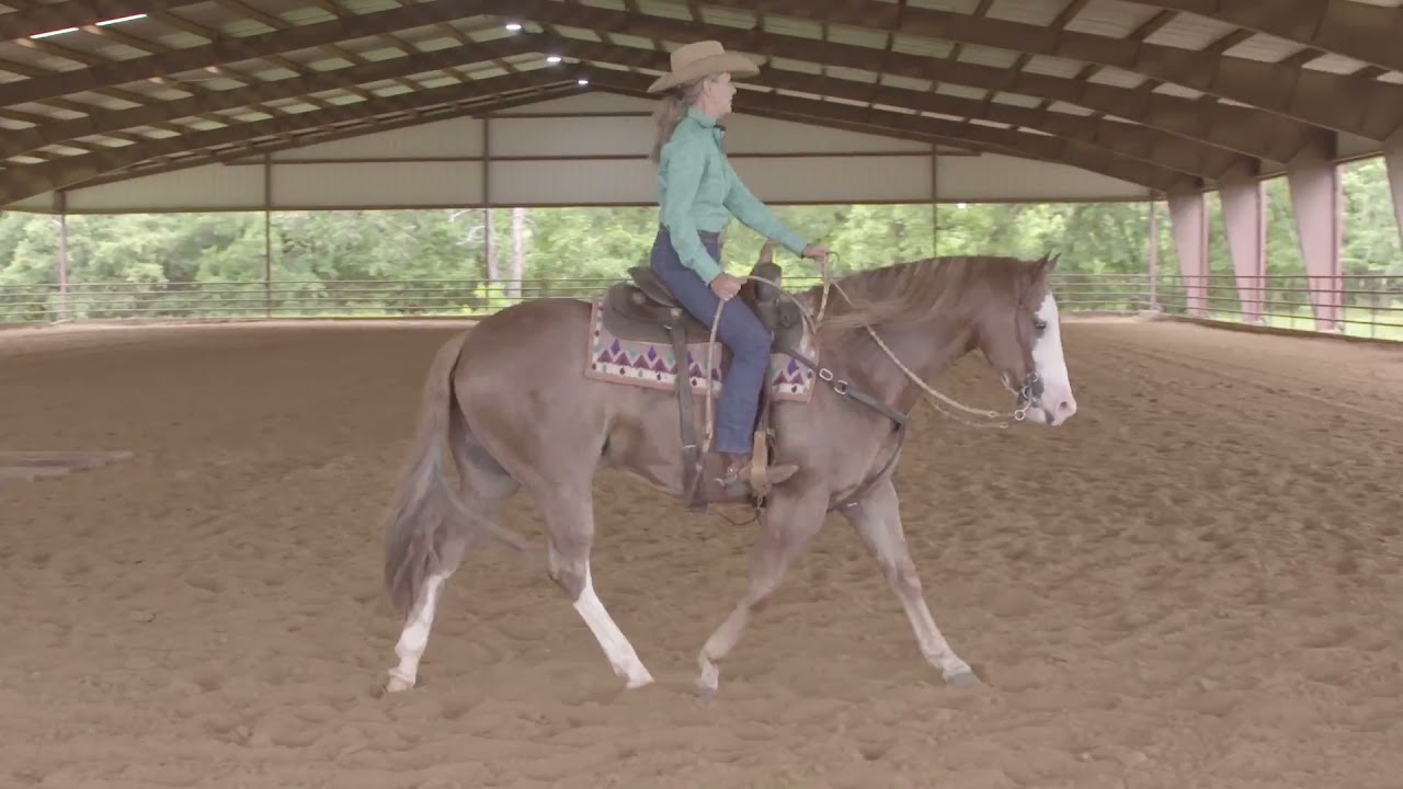 Bud Lyon: Ranch Riding Pattern Practice