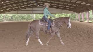 Bud Lyon: Ranch Riding Pattern Practice