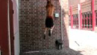 Guy does a backflip off a high ledge and lands