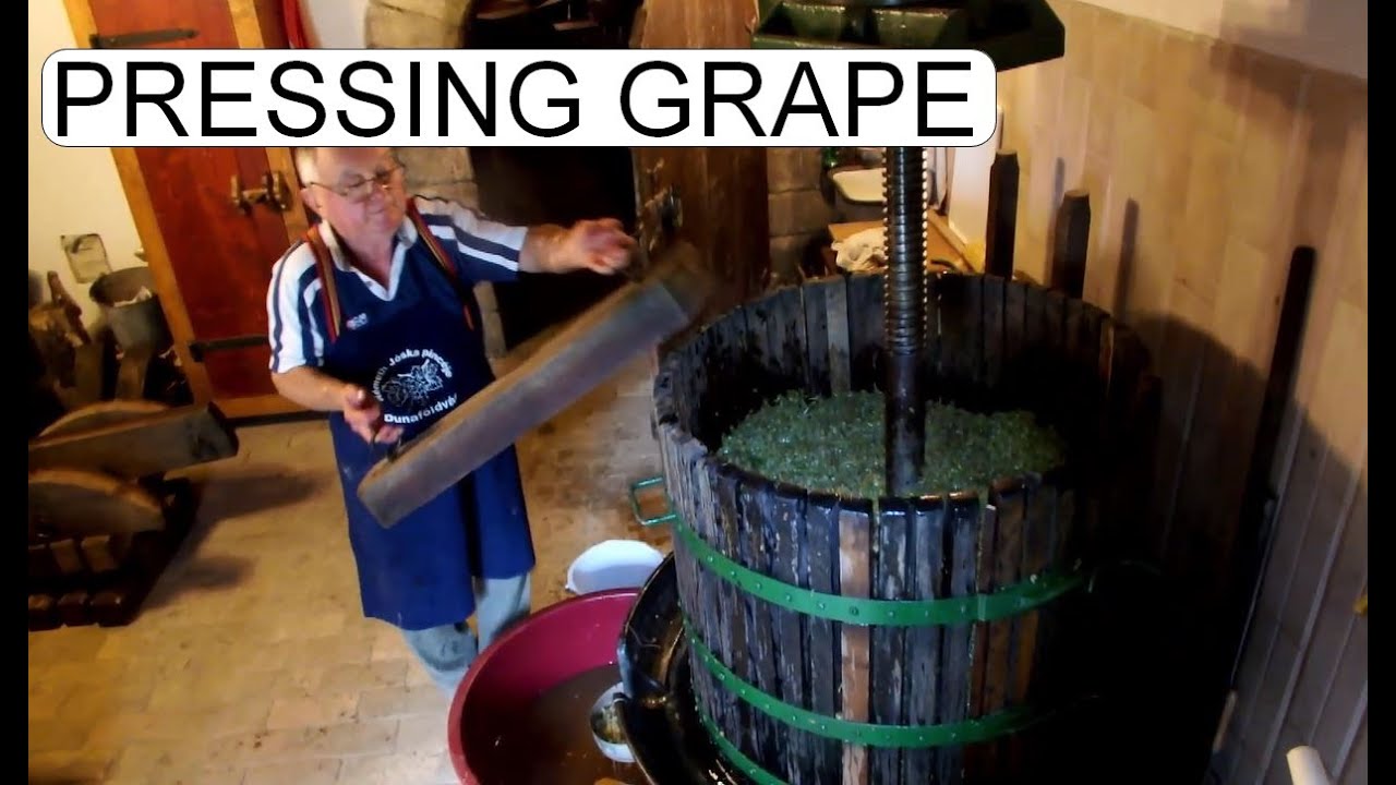 SZŐLŐSZÜRET PRÉSELÉS NÉMETH JÓSKA PINCÉJE 2015