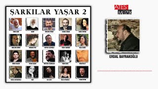 Erdal Bayrakoğlu - İçin Yanarken Resimi