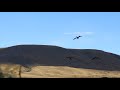 Goose hunting 2018 NZ - MUST SEE!