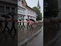 cow &amp; goat