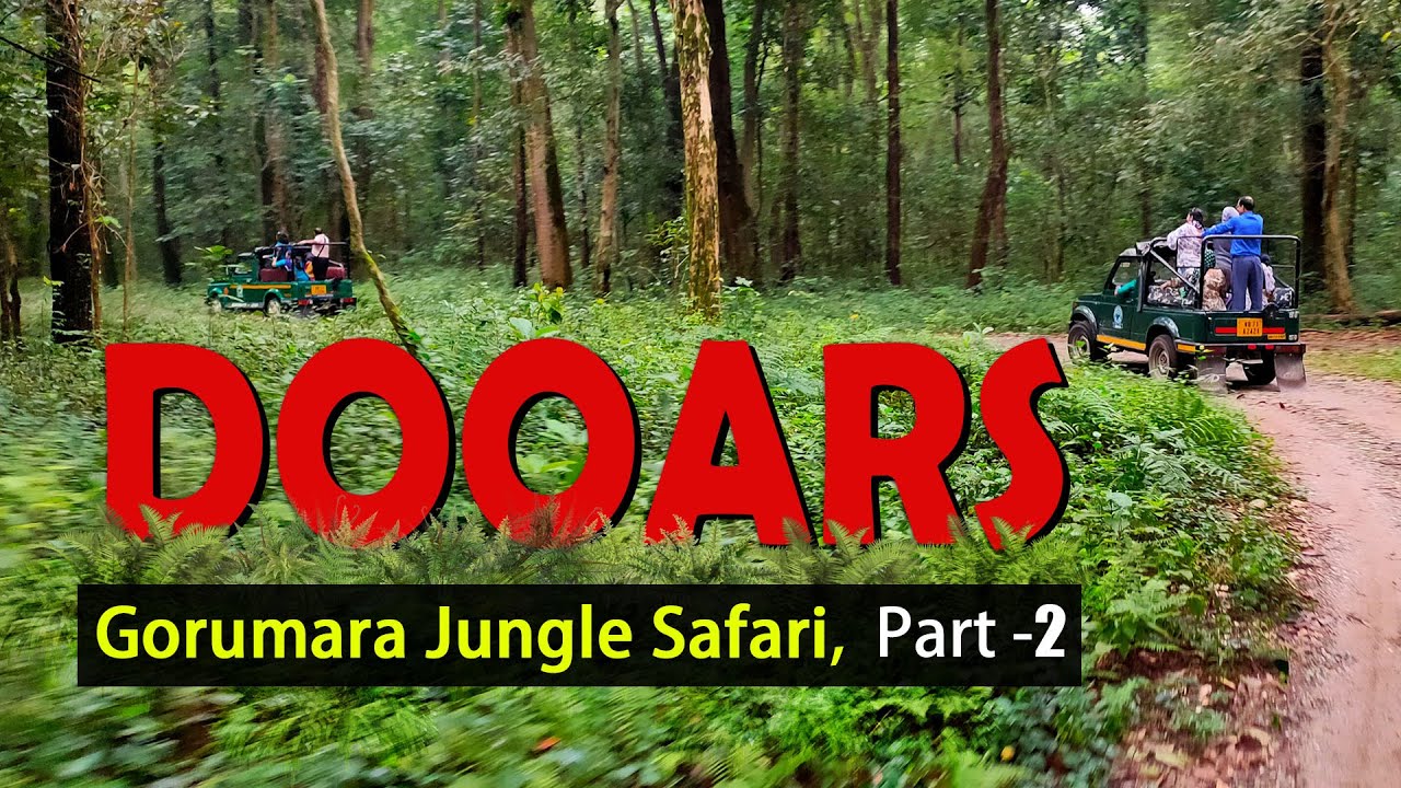 dooars jungle safari