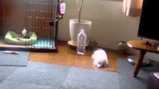 20110627 2