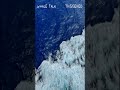 Triggered by Whale Talk is Out Now!