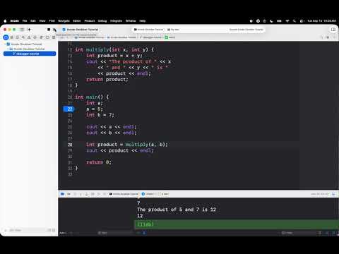 Xcode Debugger Tutorial
