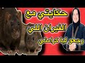 قصتي مع الفيران اللي رجعوليا كرامتي حكايتي مع زهرة البجعدية قصص واقعية مع زهرة ستار 
