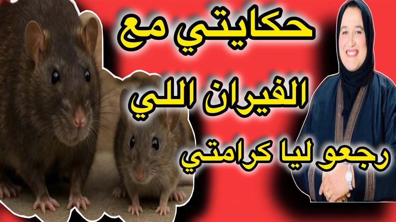 قصتي مع الفيران اللي رجعوليا كرامتي #حكايتي_مع_زهرة_البجعدية #قصص_واقعية_مع_زهرة_ستار