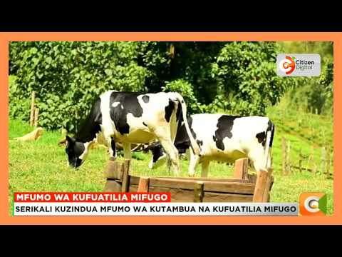 Wafugaji Nandi wahimizwa kukumbatia mfumo mpya wa kufuatilia mifugo