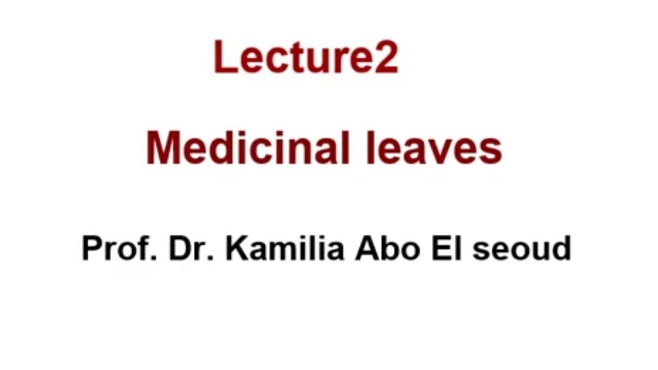 نباتات طبيه medicinal leaves الجزء 2