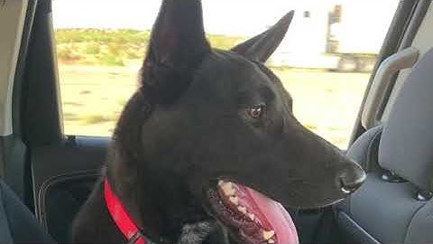 Advanced Composition: Introduction Video