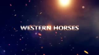 Invitation: European Championship Appaloosa Show 2018 (english version)