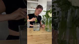 Dekoidee Mitbringsel Oder Aber Auch Als Geschenkidee