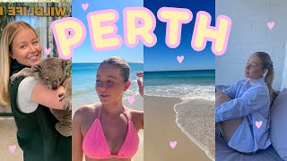 PERTH VLOG♡ I HELD A KOALA!!! FEEDING KANGAROOS, SCARBOROUGH BEACH, CAVERSHAM WILDLIFE PARK