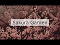 Sakura garden  vens adams
