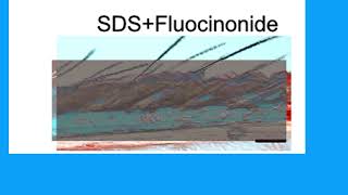 83667A2E9804EDF65E887B83CB0A45#1