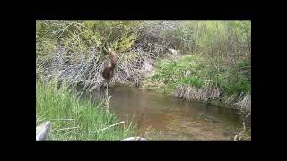 Hand Line Fishing, Fishing with my Survival Fishing Kit