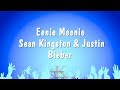 Eenie Meenie - Sean Kingston & Justin Bieber (Karaoke Version)