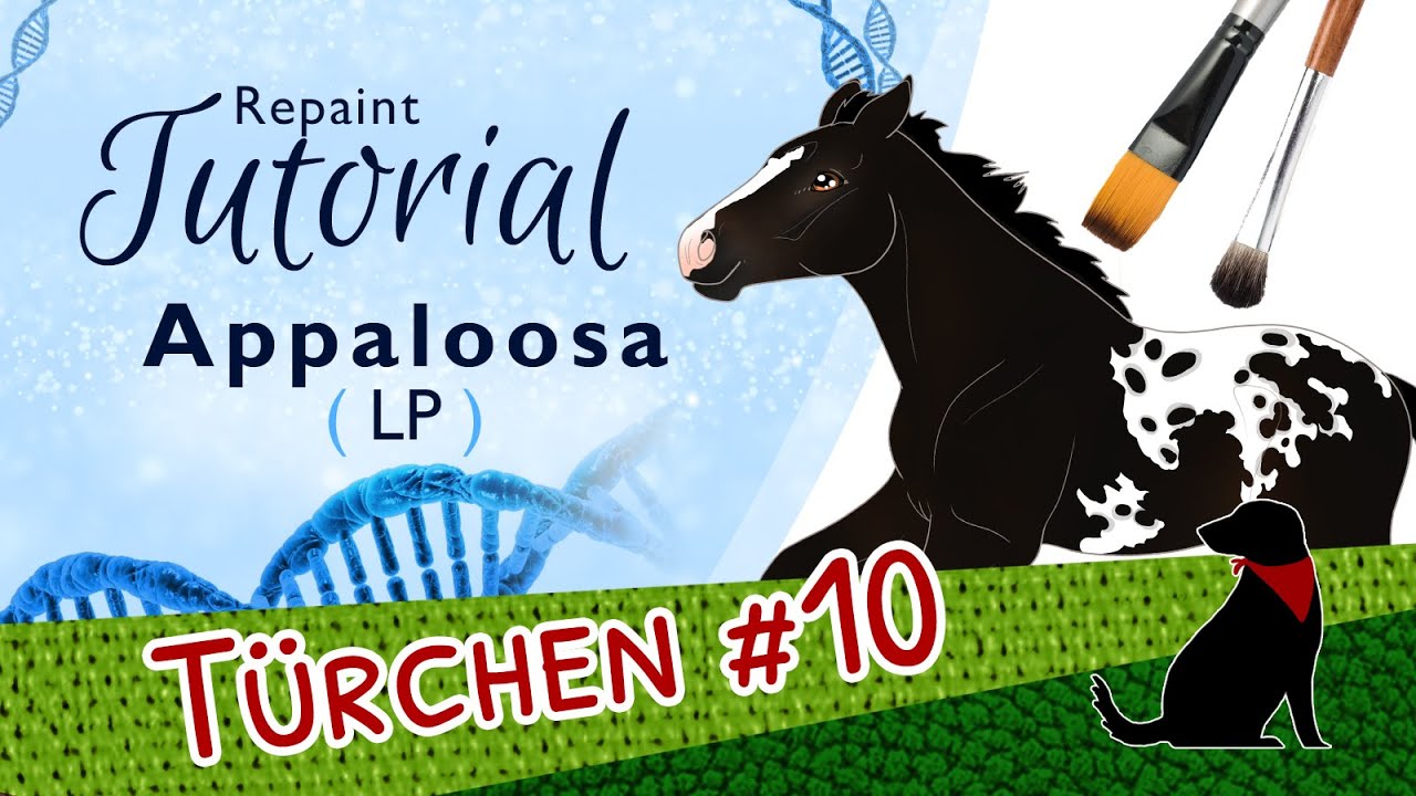 APPALOOSA REPAINT TUTORIAL (LP/n, LP/LP) - Pferdegenetik-Repaint-Kurs - Teil 5