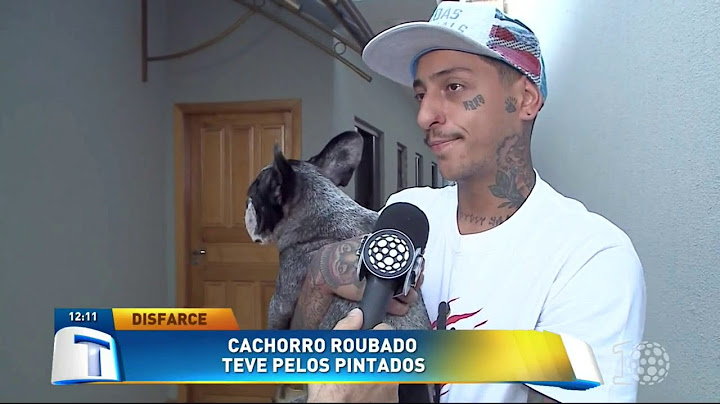 Cachorro roubado teve pelos pintados - Tribuna da Massa (18/07/18)