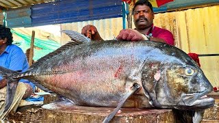 KASIMEDU 🔥 SPEED SELVAM | 45 KG GIANT BLACK TREVALLY FISH CUTTING VIDEO | IN KASIMEDU | FF CUTTING 🔪