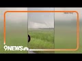 Tornados continue to rip through southeastern US