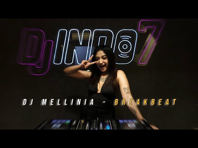 BREAKBEAT REMIX 2022 VOL 2 - DJ MELLINIA class=