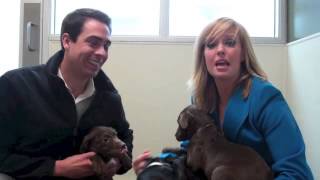 SPCA Pet Telethon 2013 Teaser- Marc and Jas